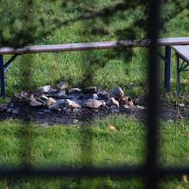 jugendfreizeit 2019 080 20200102