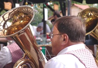 Kleingärtner Zell 2011