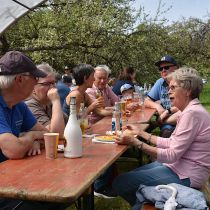 korb steinreichach 2024