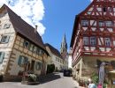 wanderer eppingen 2022 17 20220802