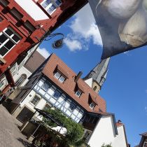wanderer eppingen 2022 20 20220802
