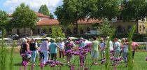 wanderer eppingen 2022 31 20220802